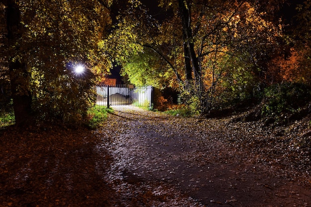 Night street covered with fallen orange autumn leaves and lattice gate illuminated by lantern light