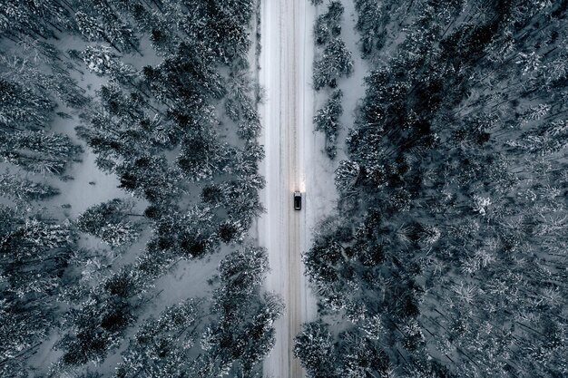 Night time aerial view of snowy road in pine tree forest in winter season drone top down view of snowy winter road surrounded pine and fir forest and two cars with light