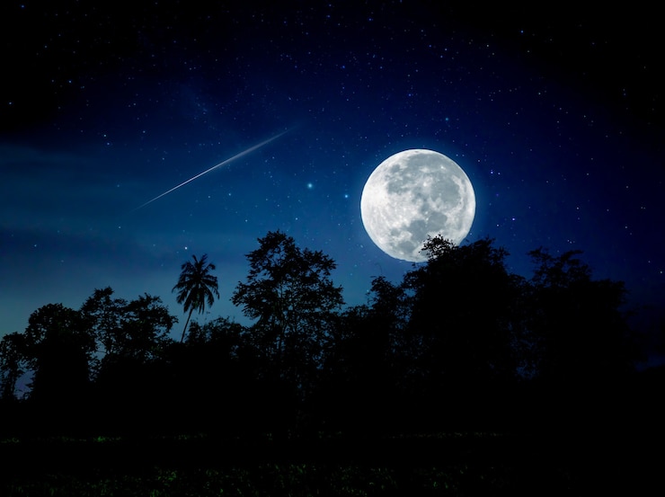 फोटो night time in forest with full moon