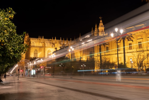 Night view of the cathedral of sevilla in spain.