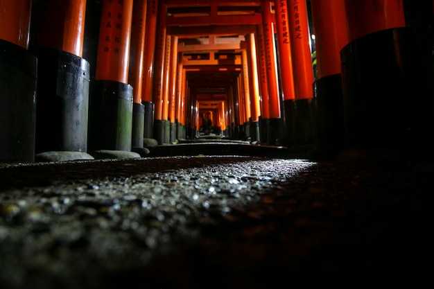 Photo night view of the fushimi inaritaisha the main shinto shrine dedicated to the spirit of inari in k