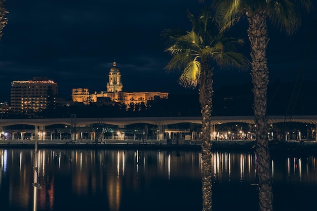 Night view of Malaga Cathedral