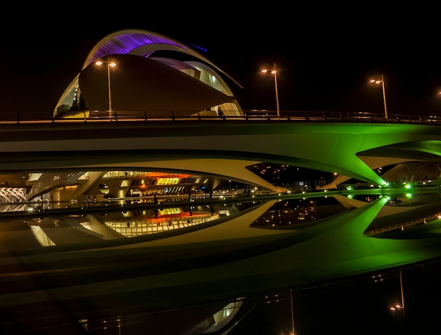 Night view of the Reina Sofa Palace of Arts in the City of Arts and Sciences
