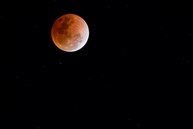 Foto vista notturna di super blue blood moon