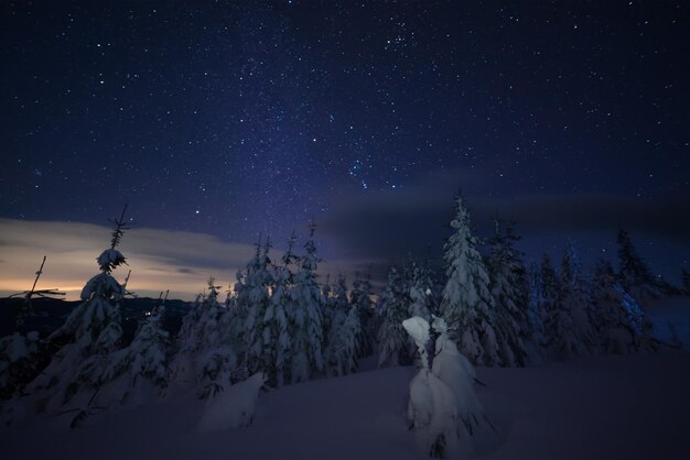 雪に覆われた森と空の明るい星と夜の冬の風景