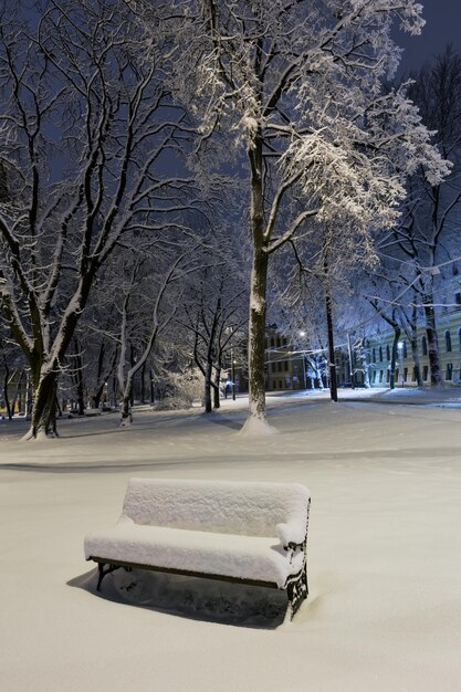 Night winter park in Lviv Ukraine