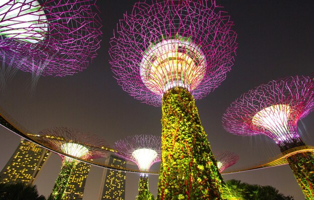 Photo nightview of the supertree grove at gardens by the bay