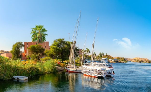 Nile coastline and boats