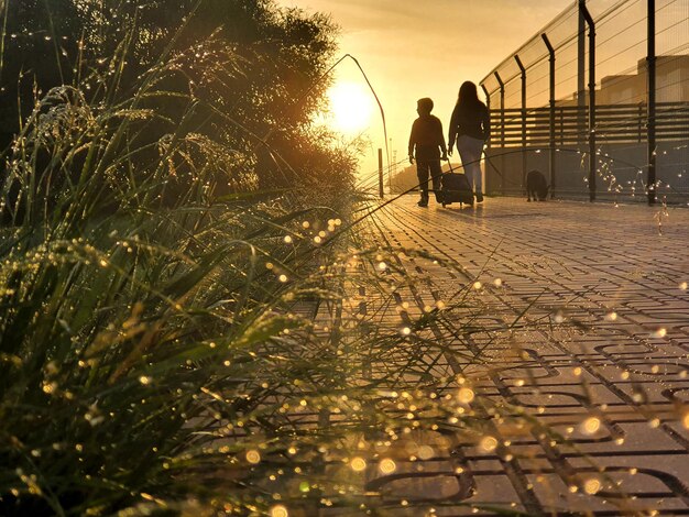 Photo nio con su madre camino del colegio al amanecer un da de niebla y gotas de roco