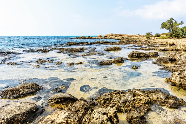 Nissi strand met rotsen in cyprus