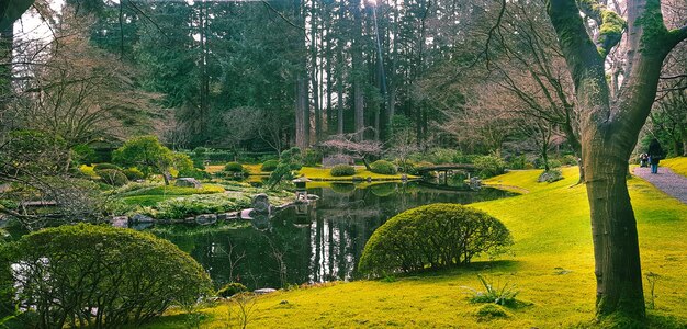 Nitobe Herdenkingstuin