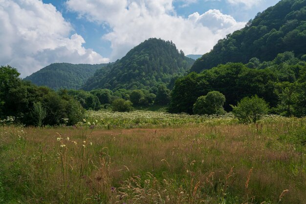 Photo nizhnearkhyz settlement in the valley of bolshoy zelenchuk river arkhyz karachaycherkessia russia