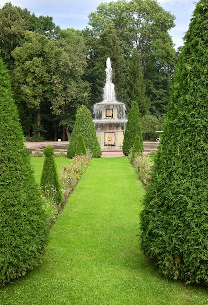 Parco di nizhny fontana romana tra il verde parterre conecut alberi aiuole