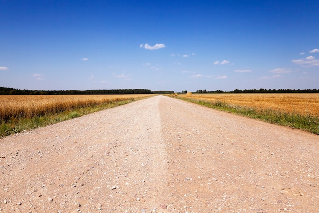 Nessuna strada asfaltata - strada rurale sterrata che passa attraverso un campo