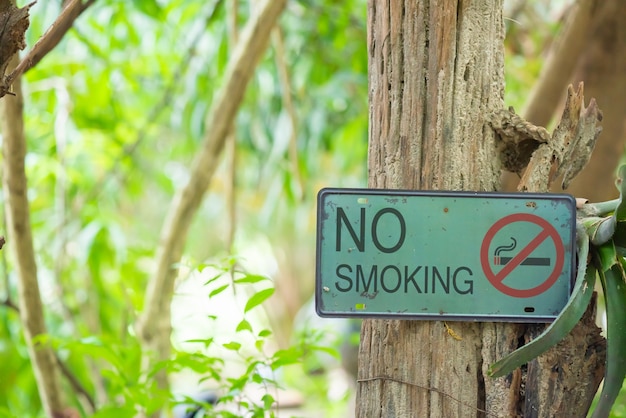 세계 금연의 날(World No Tobacco Day)에 대한 금연 및 금연.