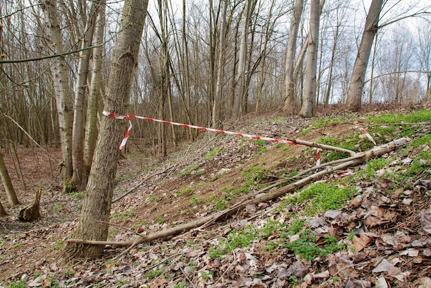 no trespassing tape in the middle of nowhere