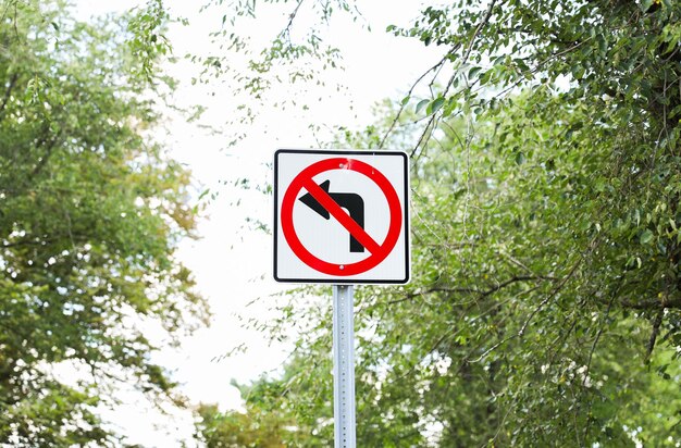 No Turn sign stands tall a symbol of traffic rules and order against a backdrop of urban buildings