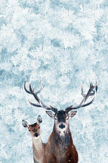 Noble deer family in winter snow forest Winter wonderland Christmas image