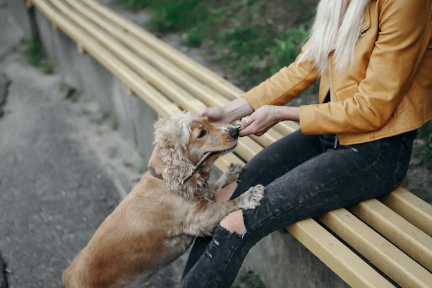 写真 ノイズとビンテージスタイル。犬と少女は公園を散歩し、美しい夏の日を楽しんでいます