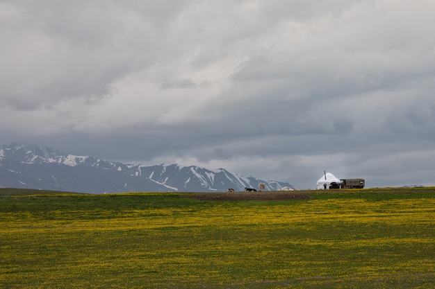 Nomadenkamp in een bergdal