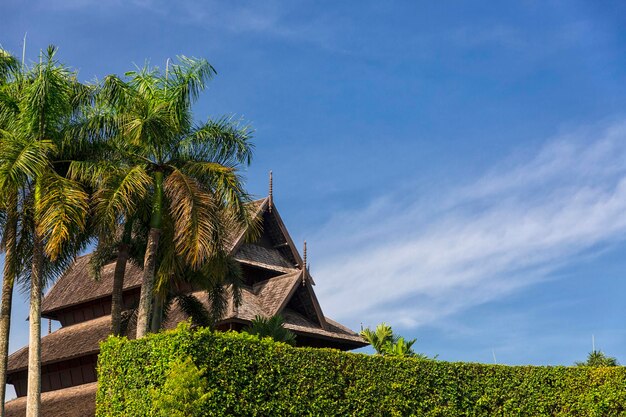 Photo nong nooch tropical garden in thailand