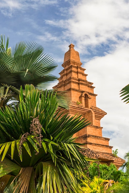 Photo nong nooch tropical garden