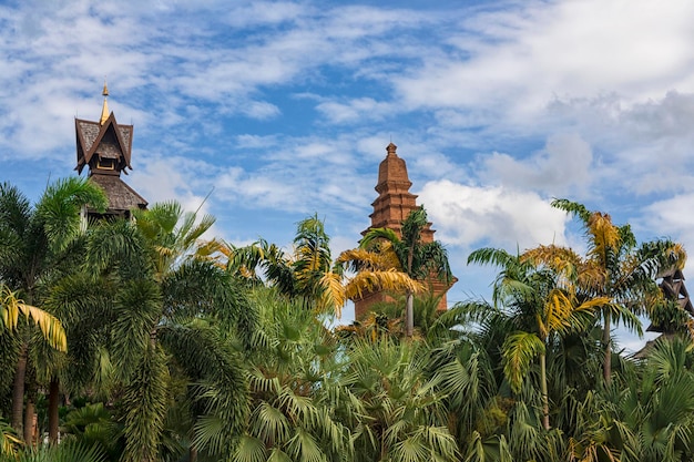 Photo nong nooch tropical garden