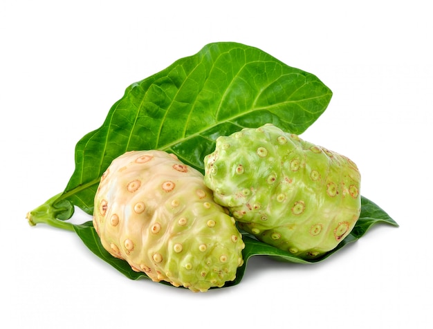 Noni fruit isolated on the white background