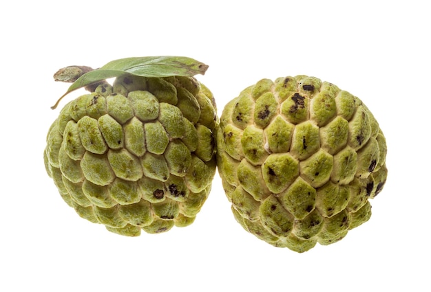 Noni fruit