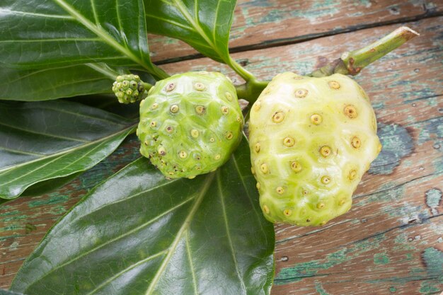 테이블 위의 노니 과일 Morinda citrifolia