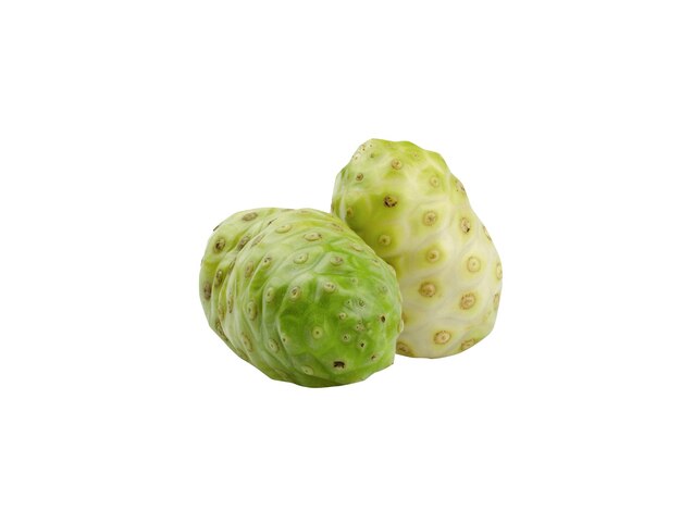 Photo noni noni fruits is remains a staple food among some cultures and is used in traditional medicine