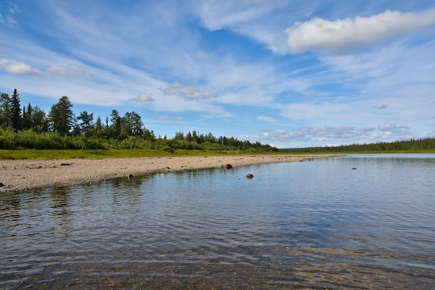 Noordelijk rivierlandschap