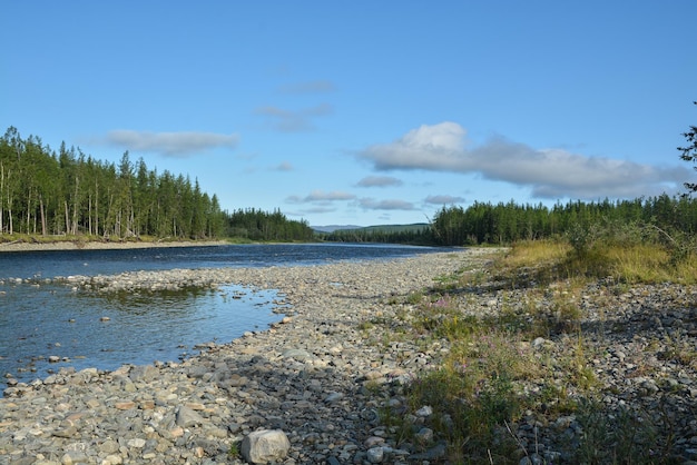 Noordelijke taiga-rivier in de Polar Oeral