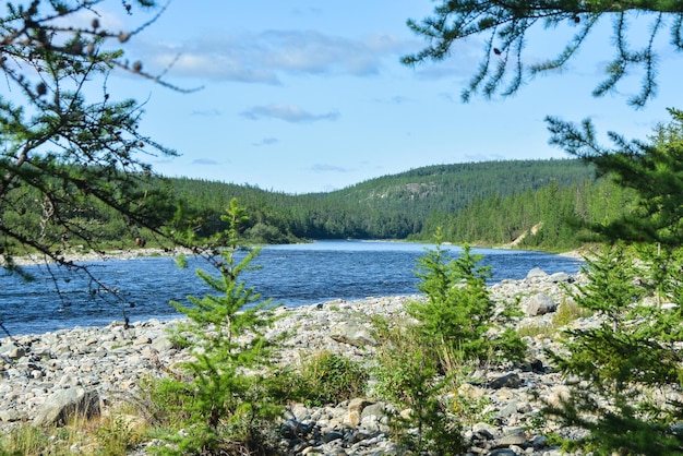 Noordelijke taiga-rivier in de Polar Oeral