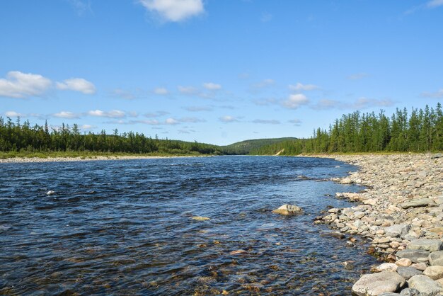 Noordelijke taiga-rivier in de Polar Oeral