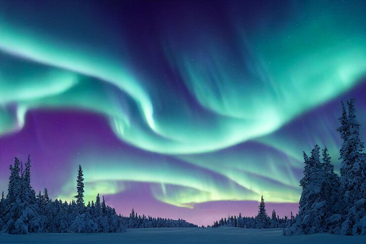 Noorderlicht boven het bos. Aurora borealis met sterrenhemel aan de nachtelijke hemel Fantastic Winter Epic