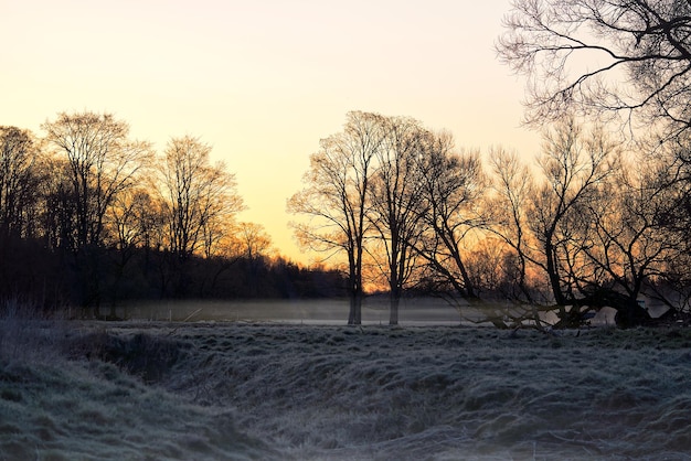 Noordse vroege ochtend na een koude nacht vormt zich mist vanuit het warme wetland in de natuur en de zon schijnt