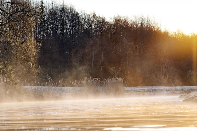 Noordse vroege ochtend na een koude nacht vormt zich mist vanuit het warme wetland in de natuur en de zon schijnt