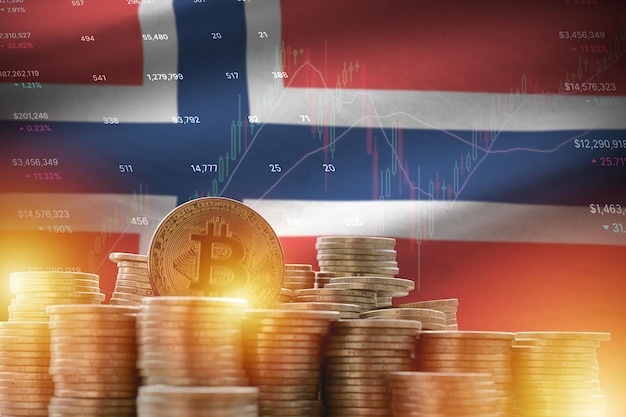 Noorse vlag en grote hoeveelheid gouden bitcoin-munten en handelsplatformgrafiek Crypto-valuta