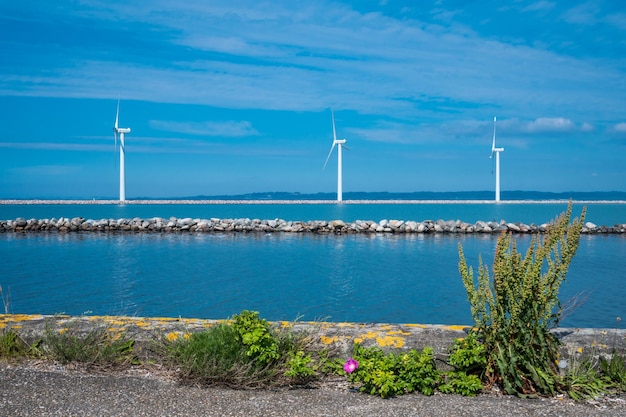 Nordex windmills at ebeltoft ferry harbor