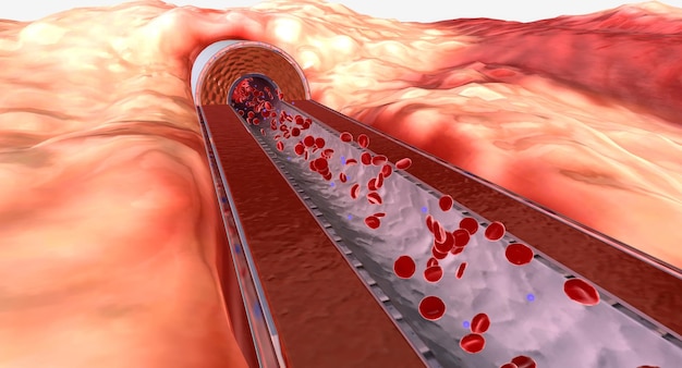 Foto normali livelli di potassio nel sangue