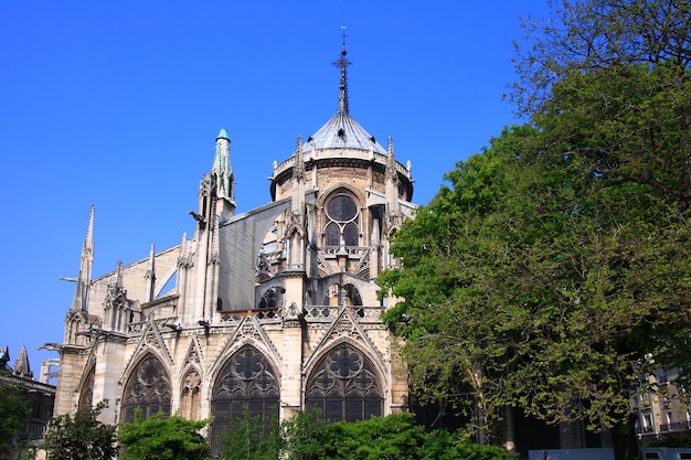 Norte Dame Paris