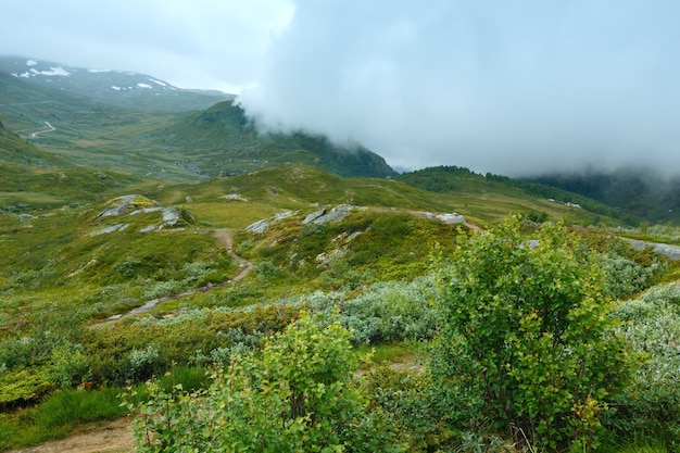 北ノルウェーの夏の山の曇りツンドラシーン