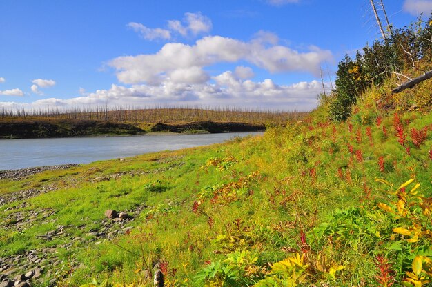 North river in late summer