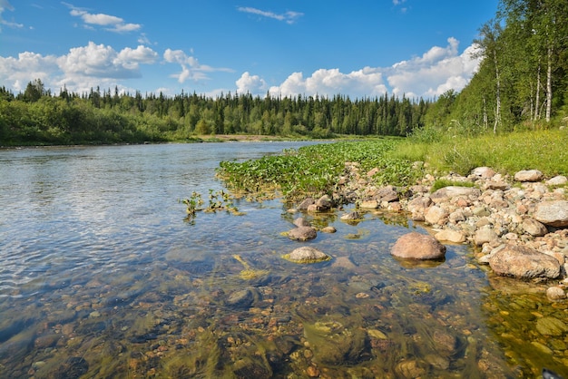 Северная река в летний день