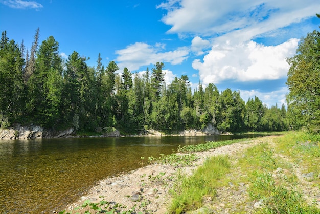 Северная река в летний день