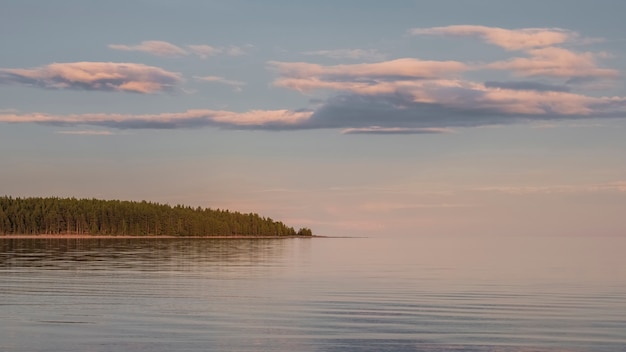 North sea  in calm with fir forest, autumn evening