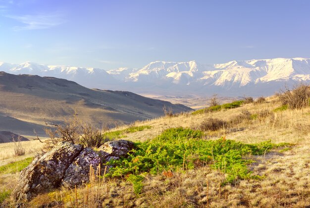 the northchui range in the altai mountains rocks and dry grass on a mountainside