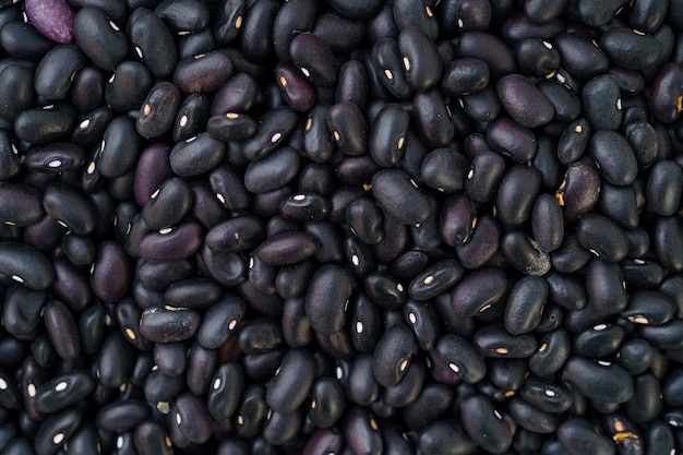 Northeast black adzuki beans on white background