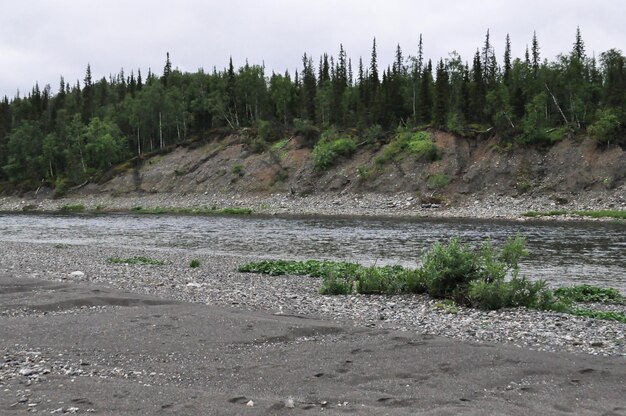 Northern boreal river